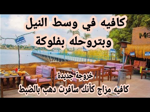 كافيه وسط النيل وبتروحله بفلوكة خروجة جديدة ومختلفة كافيه مزاج