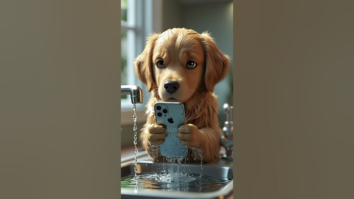 What would your dog do if your phone fell in the toilet? 😂🐕 #cute