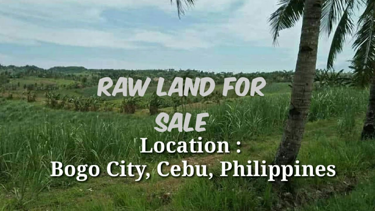 RAW LAND FOR SALE!!! AT VERY LOW PRICE BOGO CITY CEBU YouTube