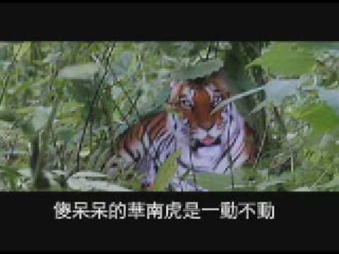 悲情二零零八-- --根据《恋曲一九九零》改编
