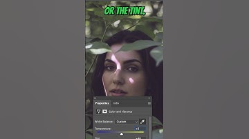 Photoshop Beta: New Color & Vibrance Adjustment