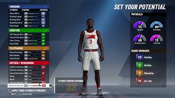 THIS ANTHONY DAVIS BUILD IS THE BEST CENTER BUILD IN NBA2K20!