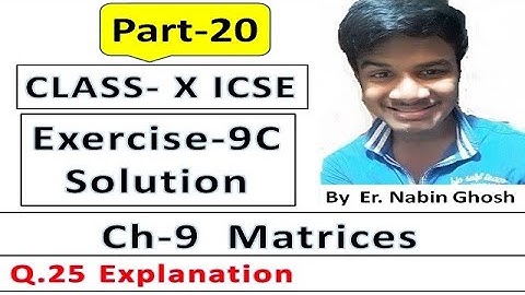Exercise-9C Matrices Solution | Q.25 | Part-20 | 10th ICSE maths Chapter 9