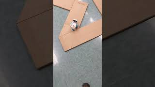 RRPS - ERMS CTE - Robotics News