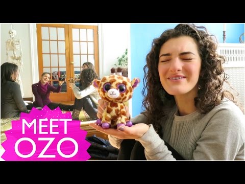 Meet Our New Friend
