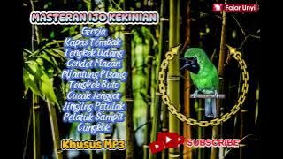 MATERI CUCAK IJO KEKINIAN‼️Masteran Paling Mudah Diserap || Suara Super Jernih