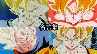 【MAD】ドラゴンボールZ 名言集 DANDAN心魅かれてく