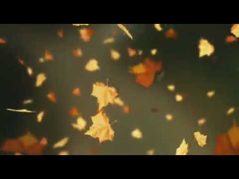 موسيقى تركية حزينة من مسلسل مسألة شرف