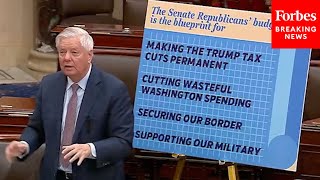 Lindsey Graham: 'These Four Things' Will Be Achieved With Passage Of GOP Budget Blueprint