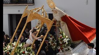 TRADICION FIESTA Y JUBILO EN LAS CORTESIAS DE CARTAJIMA 2018