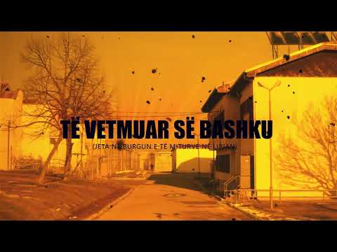 Video: Vetmia Së Bashku