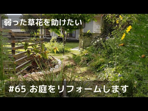 【#65 今ある草花を大切に育てる】新しい花壇作り｜ローメンテナンスな庭作り｜ナチュラルガーデン