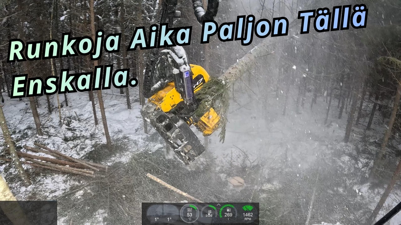 Hyvää Kuusikon Ensiharvennusta Tiheässä Metsässä. Ponsse Scorpion K AC New H7 -25