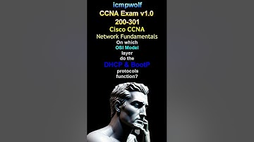 Cisco CCNA: What OSI layer for DHCP & BootP? - #icmpwolf #ciscoccna #cisco5 #ccnaexam #dhcpserver