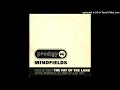 Miniature de la vidéo de la chanson Mindfields (Edit W/ Long Bridge)