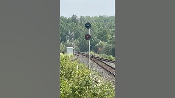 Canadian pacific knocks down signal! #shorts #train #trains #trainspotting #canadianpacificrailway