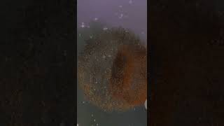 Why does Venus rotate backwards?