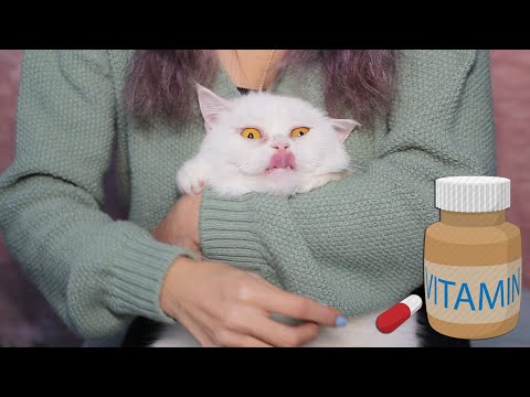 Video: Kedinizin Hap Almasını Nasıl Sağlarsınız