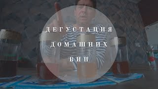 Дегустация вин домашнего приготовления | Виноград, груша, абрикос и яблок | В гостях у Владимира