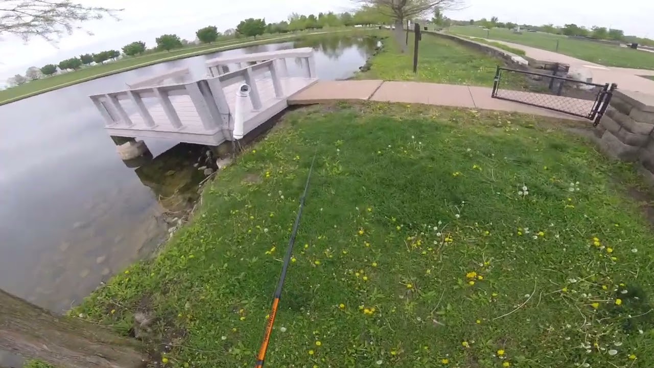What ????? He Did It Again !  Big glide bait #bassfishing #fish #fishing