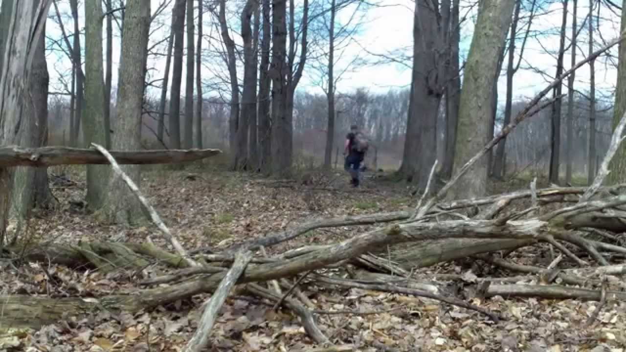 Venison Backstrap..The only way to cook it - YouTube