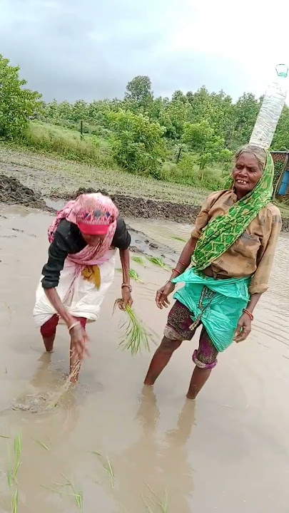 बुंदेली राई जवाबी धीरे धीरे बोल कोई सुन ना ले bundeli rai song jawabi rai bundeli rai nach #bundeli