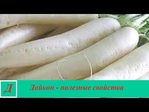 Видео: Daikon: полезните и вредни свойства на гигантската репичка