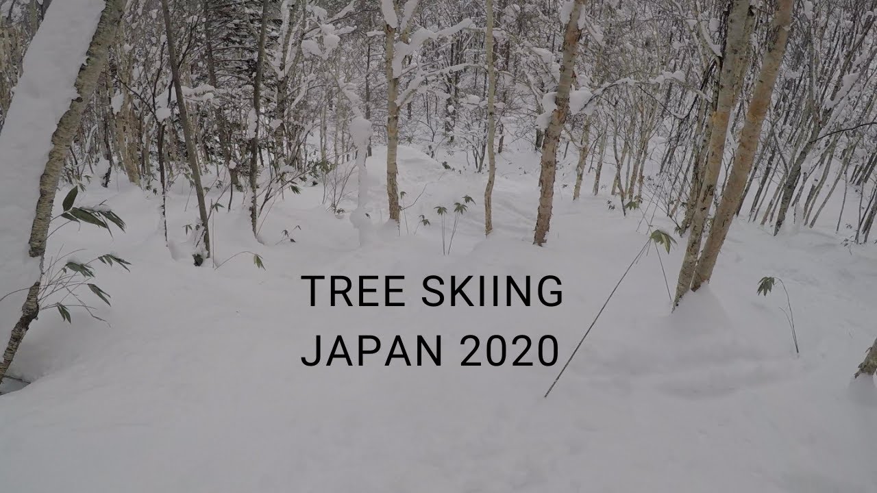 STRAWBERRY FIELDS, NISEKO JAPAN | GO PRO HERO 5 | RAW SKI FOOTAGE