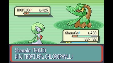 Pokemon Ruby Walkthrough Part 34: Route 119