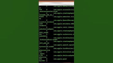 MacOS Incident Response - Startup Programs with system_profiler