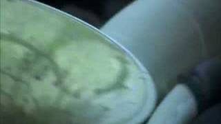 Kwaggawerk - Unser Erstes