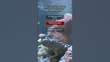 What role do green infrastructure and urban planning play in climate resilience?