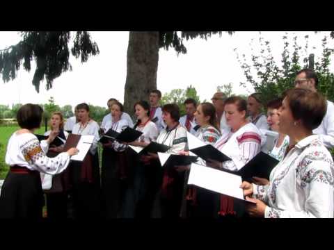 Гей видно село