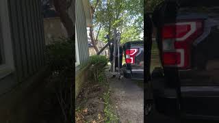 The quickest and easiest way I’ve found to remove bushes #lawncare #garden #homeimprovement