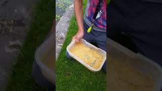 Meer Vallen Hoe Je Lokvoer Maakt