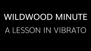 Peter Green / Danny Kirwan Inspired Vibrato  •  Wildwood Guitars chords