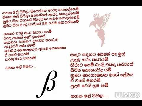 Gahaka mal pipila lyrics