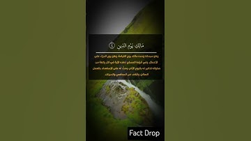احترم القرآن الكريم ❤️‍🩹😍 #اكسبلور #فولو_اكسبلور #لايك #اهميه #ترند #ماهر_المعيقلي #تيك_توك #النظافه