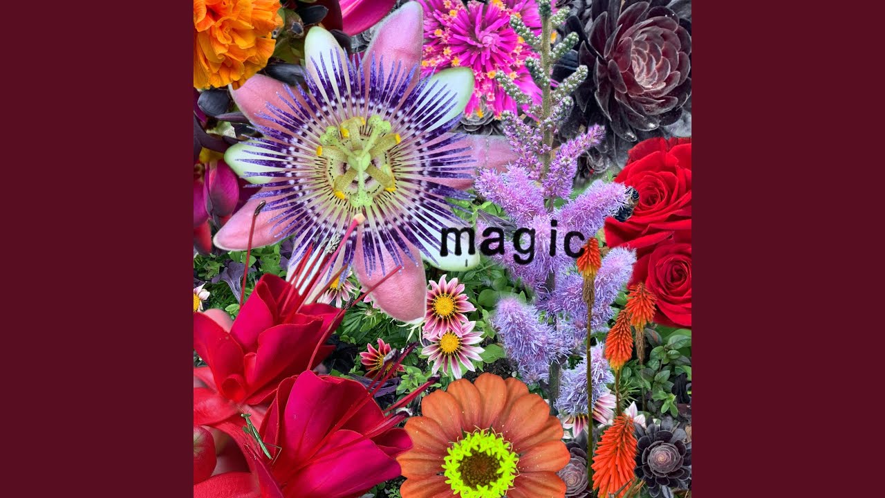 Magic auf YouTube ansehen Magic auf YouTube ansehen