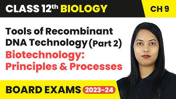 Tools of Recombinant DNA Technology (Part 2) | Class 12 Biology Chapter 9 | CBSE 2024-25