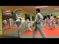 Taekwon do traininig mit meister bag.ad  und stefan tg  schwalbach deutschland