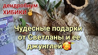 Волшебная коробочка с Подарками от Светланы из Франции