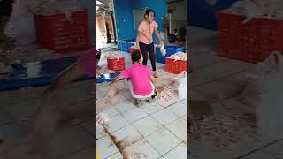 HARI INI KITA POTONG AYAM#shorts