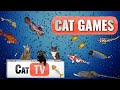 Cat games  fish and bubbles extravaganza   cat tv compilation for cats to watch 