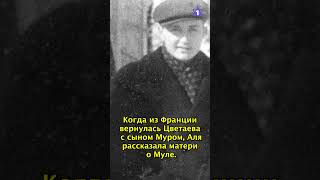 Муля и Аля - Ариадна Эфрон и Самуил Гуревич