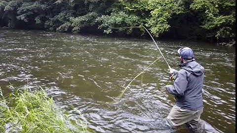 Guideline ULS Integrated WF - Slow Motion Cast