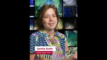 Intern experience – working alongside scientists 👩‍🔬