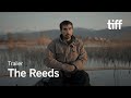 THE REEDS Trailer | TIFF 2023