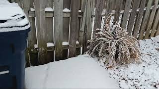 Snow in Harrison, Arkansas 1/5/24