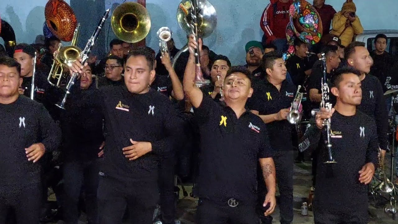 Los Testarudos, La Guitarra de Lolo, Los Marrucos - Banda MISTERIOSA  &  Banda TM